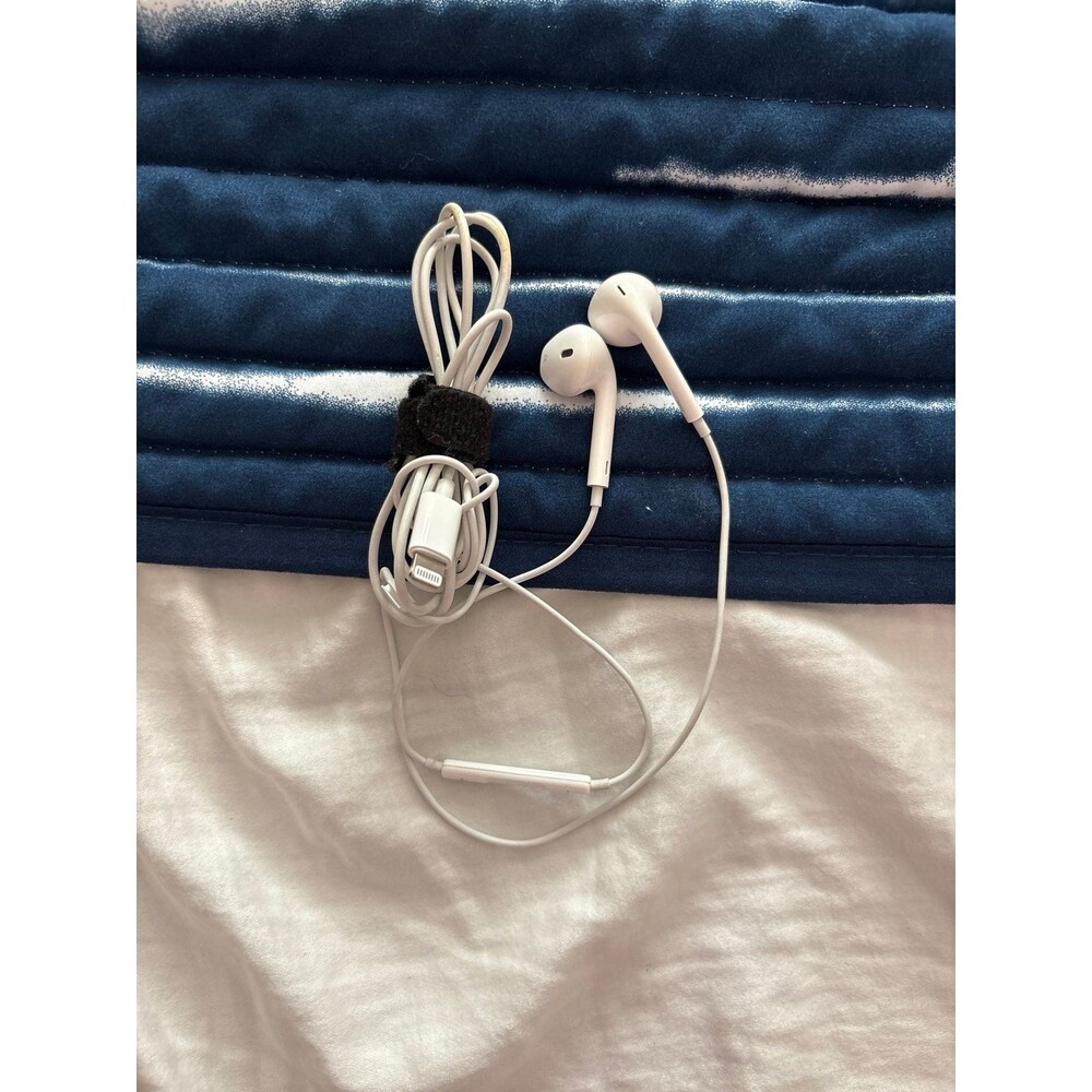 Apple string headphones